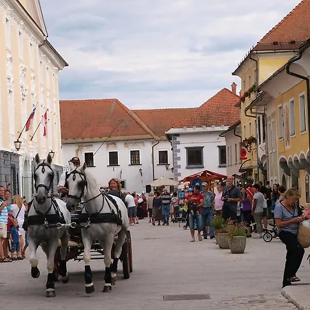 Lägenhet Aparthouse Ani Radovljica