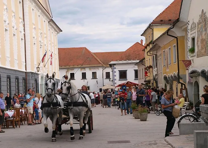 Apartment Aparthouse Ani Radovljica